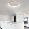 Simple Modern Living Room Ceiling Light