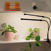 Pragmatic LED Plant (Grow)Light